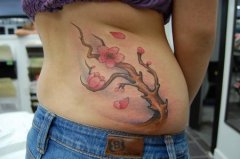 Ů÷Plum flowerͼͼƬ