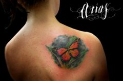 �󱳺�������ͼ��ͼƬ��ȫ