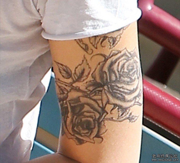 ����������������Ŷ�T¶����������ͼ�ģ�