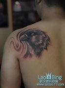 人רҵ꣺ڸǰ̺--ӥͷͼƷ