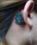 Ů���Ӷ���С��ë����ͼ��