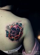 Ů���Ӽ米����õ�廨����ͼ��