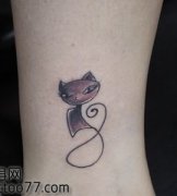 Ů���Ȳ��ɰ���è������ͼ��