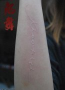 Ů���ֱ����еİ�ɫ��������ͼ��