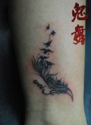 Ů�����Ȳ���ë����������ͼ��