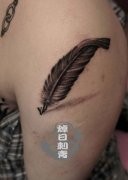 �ֱ����кÿ�����ë����ͼ��