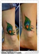 Ů��С�ȴ���ɫ��ȸ��ë����ͼ��