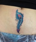 ��Ů������ɫ��ȸ��ë����ͼ��