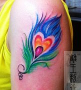 �ֱ�Ư���Ĳ�ɫ��ë����ͼ��