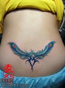 ��Ů����Ư���Ĳ�ɫ��ë����ͼ��