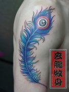 �ֱ�Ư���Ĳ�ɫ��ȸ��ë����ͼ��