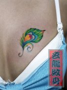 ��Ů�ز���ɫ��ȸ��ë����ͼ��