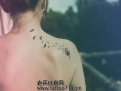 ŮӼ米ΨʱеѹӢСͼ