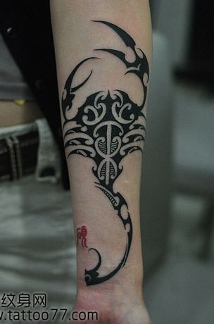 手臂一款好看的图腾蝎子纹身图案 