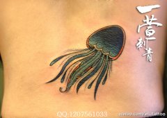 һ����ÿ�Ψ����ˮĸ����ͼ��