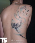 һ�����˱𲻷�����ѹ�Ӣ����ͼ��