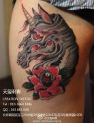 Ů���Ȳ���������ö���������ͼ��