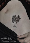 Ů������Ψ�����е�С������ͼ��