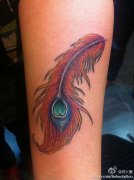 Ů���Ȳ�Ψ��ʱ�еķ����ë����ͼ��