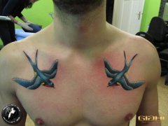 男生前胸时尚流行的小燕子纹身图案