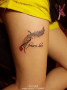 Ů���Ȳ�Ư�������Ĳ�ɫ��ë����ͼ��