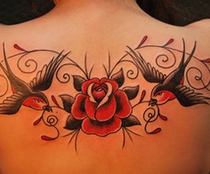 �Ƽ�һ���õ�廨��������ͼ��