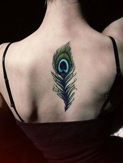 �Ƽ�һ�����ë����ͼ��