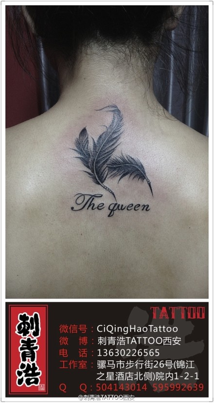 Ů����Ψ���ĺڻ���ë����ͼ��