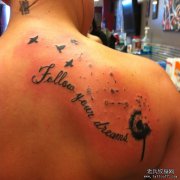 �Ƽ�һ����ѹ�Ӣ����ͼ��