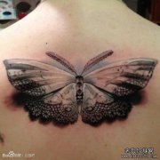 Ů����Ψ���������˿���������ͼ��