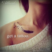 �Ƽ�һ��������ë����ͼ��