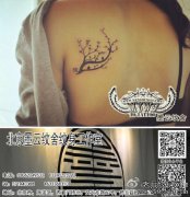 Ů����С�ɳ�����ͼ��������ͼ��