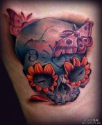 �Ƽ�һ��ŷ������ͷ����ͼ��