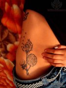 �Ƽ�һ�������ѹ�Ӣ����ͼ��