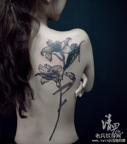 女生后背潮流唯美的百合花纹身图案