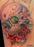 �Ƽ�һ������õ�廨����ͼ��