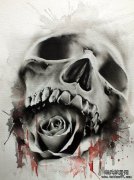 �Ƽ�һ��ڻ�����ͷ����ͼ��