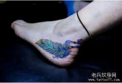 Ů���Ų�Ψ��ʱ�еĲ�ɫ��ë����ͼ��