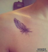 �Ƽ�һ��������ë����ͼ��