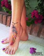 �Ƽ�һ��ű���ë����ͼ��