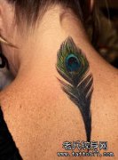 ����һ�����ë����ͼ��