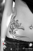美女腹部唯美潮流的黑灰莲花纹身图案