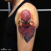 �ֱ�һ���˧����֩��������ͼ��