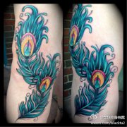 Ů������Ψ����������ë����ͼ��