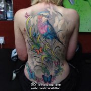 Ů���󱳳����ÿ���С������ͼ��