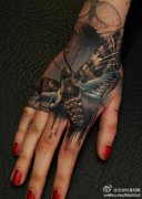 ��Ů�ֱ۳���ʱ�еķɶ�����ͼ��