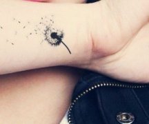 ����һ��С���������ѹ�Ӣ����ͼ��