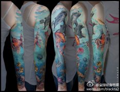 һ��Ư�������Ļ��ۺ�����������ͼ��