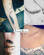 ����һ������ë����ͼ��