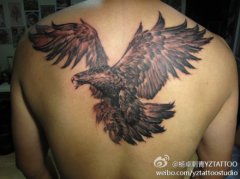 ˺󱳺ܿʱеĺڻӥͼ